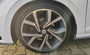 IMG_20230220_075453