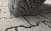 IMG_20240205_101400