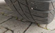 IMG_20240301_144738