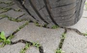 IMG_20240717_125500