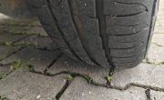 IMG_20240717_125511