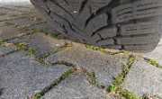 IMG_20241029_144524