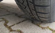 IMG_20250228_113558