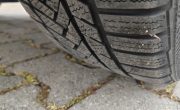 IMG_20250228_113615