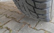 IMG_20250304_154311