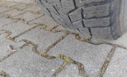 IMG_20250304_154325