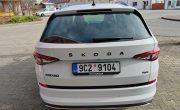 IMG_20250310_104604