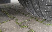 IMG_20250401_091042
