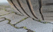 IMG_20250404_160918