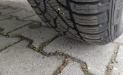IMG_20250407_073936