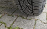 IMG_20250407_073941