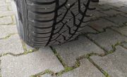 IMG_20250407_073945