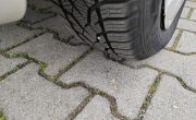 IMG_20250407_073951