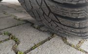 IMG_20250407_155522