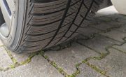 IMG_20250407_155533