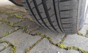 IMG_20250519_155354