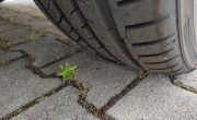 IMG_20250626_155011