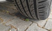 IMG_20250703_141411
