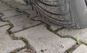 IMG_20250725_123345